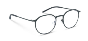 Alternative view of Shore Leave